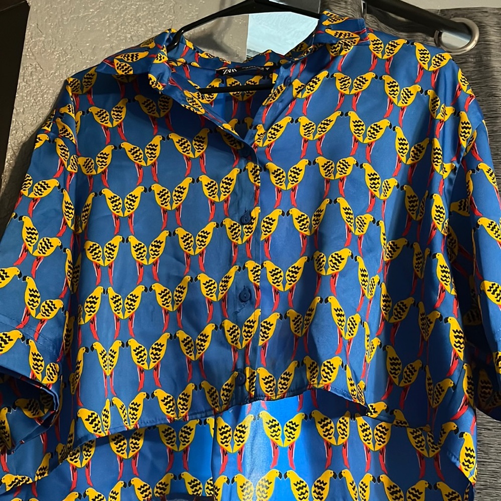 Zara bird crop top